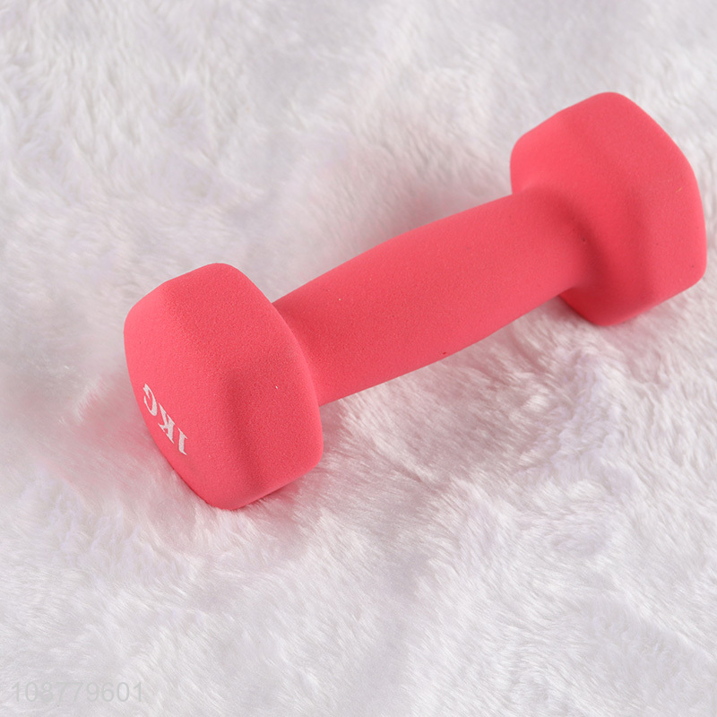 Wholesale 1kg dumbbell hand weights for men women