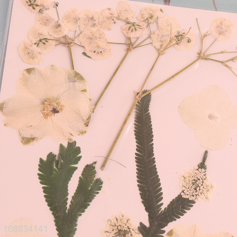 Best price natural dried pressed flower for decoration